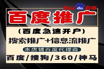 百度SEO推广：从零到一的成长案例